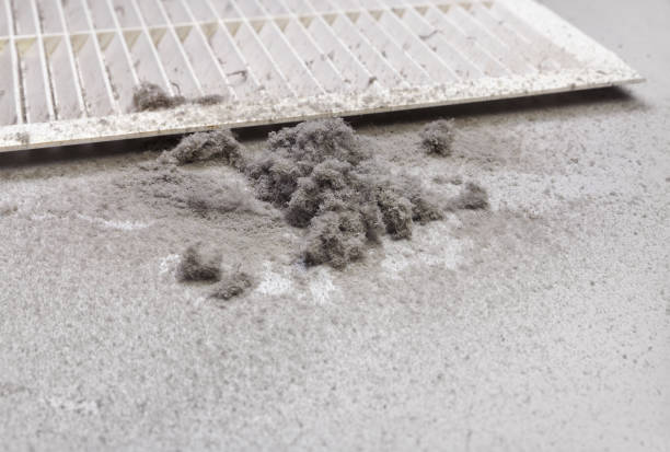 Best Duct Cleaning Specialists  in Forest Park, IL