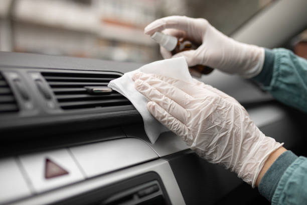 Best Air Duct Mold Removal  in Forest Park, IL