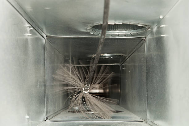 Air Duct Mold Removal in IL