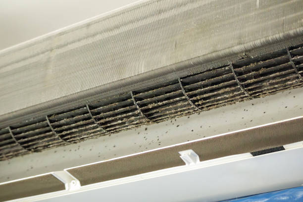 Best Commercial Air Duct Cleaning  in Forest Park, IL